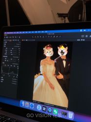 -GO VISION 动视觉婚纱摄影高级定制