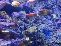 -成都浩海立方海洋公园