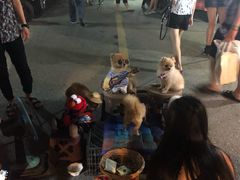 -周日夜市