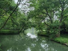 -西溪国家湿地公园