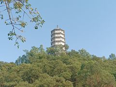 -深圳国际园林花卉博览园