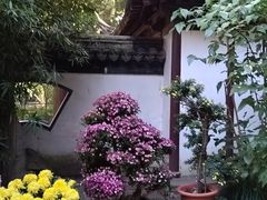 -汇龙潭