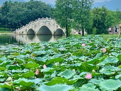 -飞来湖湿地公园