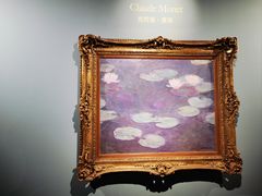 -遇见博物馆(遇见海洋沉浸式奇幻光影展)