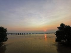 -宝安西湾红树林湿地公园