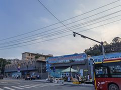 -长洲岛