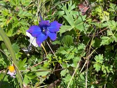 -白草畔自然风景区