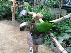 -南宫五洲植物乐园