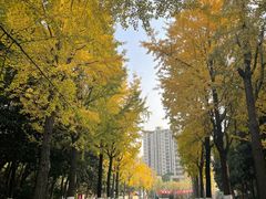 -苏州河梦清园环保主题公园