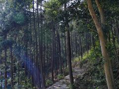 -东钱湖旅游度假区