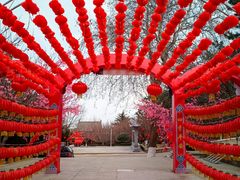 -石岛赤山风景区