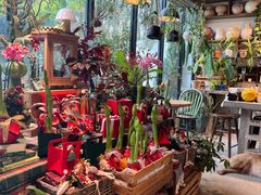 -自由生长植物工作室(深港花卉中心店)