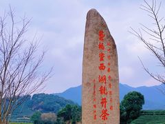 -龙坞茶村
