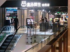 -盒马鲜生(领丰汇店)