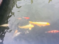 -珠海圆明新园