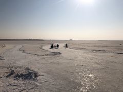 -哈素海