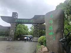 -溱湖国家湿地公园