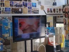 -欢乐口腔(望京分院)