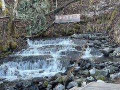 -峡谷浮石林景区