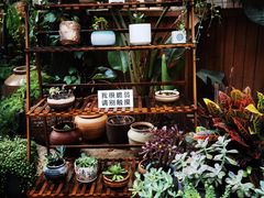 -云里小坐·小院里·团建·宴请·下午茶(三圣乡店)