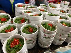-小向麻辣烫(天街总店)