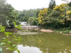 -深圳国际园林花卉博览园