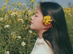 -瑶湖郊野森林公园