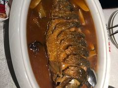 -阿五黄河大鲤鱼(英协路店)