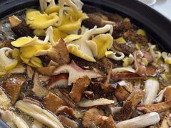 -菌之家·专业纯野生菌火锅·特色炒菌