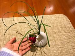 -苏州湾王焰温泉度假酒店