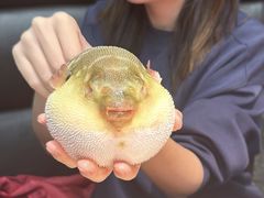 -永安鱼庄·镇江菜(东吴路店)