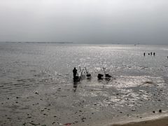 -北海金海湾红树林生态旅游区