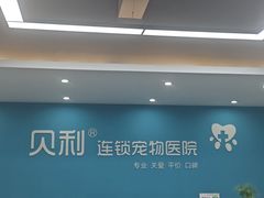 -贝利宠物医院·骨科·眼科·肿瘤转诊中心(南坪诊疗中心)