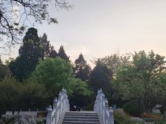 -宣武艺园