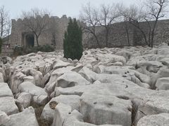 -原山国家森林公园