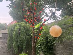 -庐灶江南·江南菜·四合院Bistro(东直门雍和宫·原华侨宾馆店)