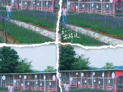 -名花谷生态庄园