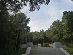 -淮海战役纪念馆