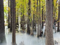 -东湖落雁景区