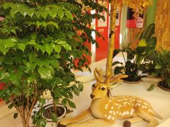 -极光口腔·矫正种植修复(锦江店)