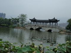 -飞来湖湿地公园