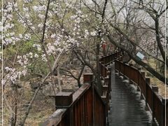 -居庸关长城