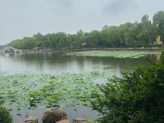 -长春市南湖公园