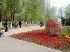 -长白岛森林公园