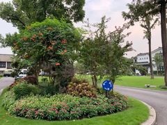 -杭州西湖柳莺里酒店·闻莺厅