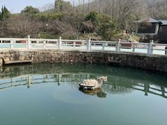 -白马涧龙池景区