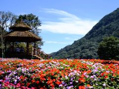 -广州市石门国家森林公园
