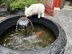 -府学·秋果S酒店(北京南锣鼓巷四合院店)