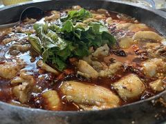 -都江堰石锅鱼