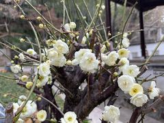 -兴福老面馆(寺路街店)